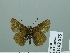  ( - HESP-EB 02 875)  @12 [ ] Copyright (2012) Ersnt Brockmann Research Collection of Ernst Brockmann