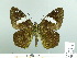  ( - HESP-EB 02 876)  @12 [ ] Copyright (2012) Ersnt Brockmann Research Collection of Ernst Brockmann