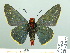  ( - HESP-EB 02 877)  @12 [ ] Copyright (2012) Ersnt Brockmann Research Collection of Ernst Brockmann