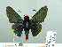  ( - HESP-EB 02 878)  @13 [ ] Copyright (2012) Ersnt Brockmann Research Collection of Ernst Brockmann