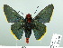  ( - HESP-EB 02 879)  @12 [ ] Copyright (2012) Ersnt Brockmann Research Collection of Ernst Brockmann