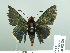 ( - HESP-EB 02 881)  @12 [ ] Copyright (2012) Ersnt Brockmann Research Collection of Ernst Brockmann