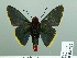  ( - HESP-EB 02 882)  @12 [ ] Copyright (2012) Ersnt Brockmann Research Collection of Ernst Brockmann