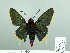  ( - HESP-EB 02 920)  @12 [ ] Copyright (2012) Ersnt Brockmann Research Collection of Ernst Brockmann