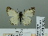  ( - HESP-EB 02 927)  @13 [ ] Copyright (2012) Ersnt Brockmann Research Collection of Ernst Brockmann