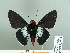  ( - HESP-EB 02 933)  @12 [ ] Copyright (2012) Ersnt Brockmann Research Collection of Ernst Brockmann