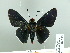  ( - HESP-EB 02 933)  @12 [ ] Copyright (2012) Ersnt Brockmann Research Collection of Ernst Brockmann