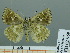  ( - HESP-EB 02 969)  @12 [ ] Copyright (2012) Ersnt Brockmann Research Collection of Ernst Brockmann