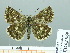  ( - HESP-EB 02 969)  @12 [ ] Copyright (2012) Ersnt Brockmann Research Collection of Ernst Brockmann