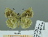  ( - HESP-EB 02 970)  @12 [ ] Copyright (2012) Ersnt Brockmann Research Collection of Ernst Brockmann