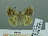  ( - HESP-EB 02 971)  @12 [ ] Copyright (2012) Ersnt Brockmann Research Collection of Ernst Brockmann