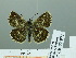  ( - HESP-EB 02 971)  @12 [ ] Copyright (2012) Ersnt Brockmann Research Collection of Ernst Brockmann