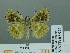  ( - HESP-EB 02 972)  @12 [ ] Copyright (2012) Ersnt Brockmann Research Collection of Ernst Brockmann