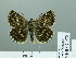  ( - HESP-EB 02 972)  @12 [ ] Copyright (2012) Ersnt Brockmann Research Collection of Ernst Brockmann