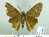  ( - HESP-EB 03 025)  @13 [ ] Copyright (2012) Ersnt Brockmann Research Collection of Ernst Brockmann