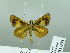  ( - HESP-EB 03 033)  @12 [ ] Copyright (2012) Ersnt Brockmann Research Collection of Ernst Brockmann