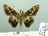  ( - HESP-EB 03 065)  @14 [ ] Copyright (2012) Ersnt Brockmann Research Collection of Ernst Brockmann