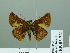  ( - HESP-EB 03 221)  @12 [ ] Copyright (2012) Ersnt Brockmann Research Collection of Ernst Brockmann