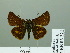  ( - HESP-EB 03 221)  @12 [ ] Copyright (2012) Ersnt Brockmann Research Collection of Ernst Brockmann