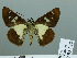  ( - HESP-EB 03 232)  @12 [ ] Copyright (2012) Ersnt Brockmann Research Collection of Ernst Brockmann