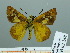  ( - HESP-EB 03 248)  @12 [ ] Copyright (2012) Ersnt Brockmann Research Collection of Ernst Brockmann