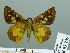 ( - HESP-EB 03 249)  @12 [ ] Copyright (2012) Ersnt Brockmann Research Collection of Ernst Brockmann