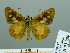  ( - HESP-EB 03 250)  @12 [ ] Copyright (2012) Ersnt Brockmann Research Collection of Ernst Brockmann