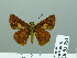  ( - HESP-EB 03 251)  @12 [ ] Copyright (2012) Ersnt Brockmann Research Collection of Ernst Brockmann
