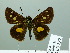  ( - HESP-EB 03 252)  @12 [ ] Copyright (2012) Ersnt Brockmann Research Collection of Ernst Brockmann