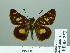  ( - HESP-EB 03 253)  @12 [ ] Copyright (2012) Ersnt Brockmann Research Collection of Ernst Brockmann