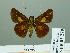  ( - HESP-EB 03 279)  @12 [ ] Copyright (2012) Ersnt Brockmann Research Collection of Ernst Brockmann