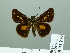  ( - HESP-EB 03 279)  @12 [ ] Copyright (2012) Ersnt Brockmann Research Collection of Ernst Brockmann