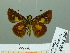  ( - HESP-EB 03 280)  @12 [ ] Copyright (2012) Ersnt Brockmann Research Collection of Ernst Brockmann