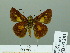  ( - HESP-EB 03 281)  @11 [ ] Copyright (2012) Ersnt Brockmann Research Collection of Ernst Brockmann