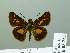  ( - HESP-EB 03 281)  @11 [ ] Copyright (2012) Ersnt Brockmann Research Collection of Ernst Brockmann