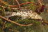  ( - HvdBN66)  @11 [ ] No Rights Reserved (2010) Unspecified University of Johannesburg