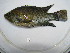  ( - HvdB-10-2010-53)  @13 [ ] Unspecified (default): All Rights Reserved  Unspecified Unspecified