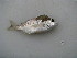  ( - HvdB-10-2010-45)  @13 [ ] Unspecified (default): All Rights Reserved  Unspecified Unspecified