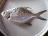  ( - HvdB-02-2011-MZ_039)  @11 [ ] Unspecified (default): All Rights Reserved  Unspecified Unspecified