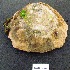  ( - HVDBM-ROB-12)  @13 [ ] Unspecified (default): All Rights Reserved  Unspecified Unspecified