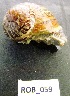  ( - HVDBM-ROB-59)  @13 [ ] Unspecified (default): All Rights Reserved  Unspecified Unspecified