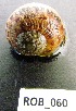  ( - HVDBM-ROB-60)  @14 [ ] Unspecified (default): All Rights Reserved  Unspecified Unspecified