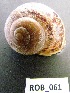  ( - HVDBM-ROB-61)  @14 [ ] Unspecified (default): All Rights Reserved  Unspecified Unspecified