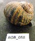  ( - HVDBM-ROB-58)  @13 [ ] Unspecified (default): All Rights Reserved  Unspecified Unspecified