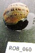  ( - HVDBM-ROB-60)  @13 [ ] Unspecified (default): All Rights Reserved  Unspecified Unspecified