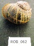  ( - HVDBM-ROB-62)  @13 [ ] Unspecified (default): All Rights Reserved  Unspecified Unspecified