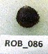  ( - HVDBM-ROB-86)  @12 [ ] Unspecified (default): All Rights Reserved  Unspecified Unspecified