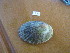  ( - HvdB-11-2010-27)  @12 [ ] Unspecified (default): All Rights Reserved  Unspecified Unspecified