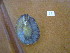  ( - HvdB-11-2010-28)  @12 [ ] Unspecified (default): All Rights Reserved  Unspecified Unspecified