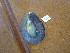  ( - HvdB-11-2010-30)  @13 [ ] Unspecified (default): All Rights Reserved  Unspecified Unspecified